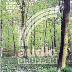 15 Musiske Oplevelser Fra Audio Gruppen Til Dig