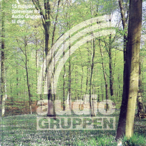 15 Musiske Oplevelser Fra Audio Gruppen Til Dig
