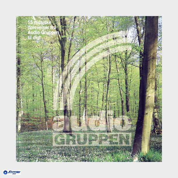 15 Musiske Oplevelser Fra Audio Gruppen Til Dig