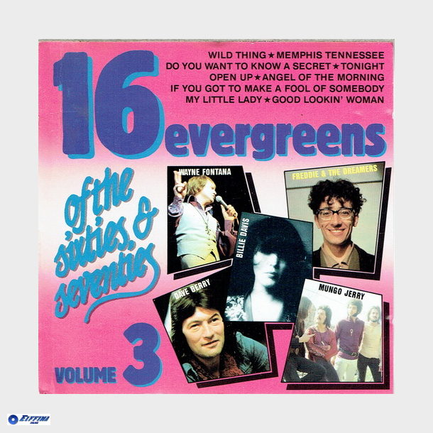 16 Evergreens Of The Sixties &amp; Seventies Vol. 3 (1987)