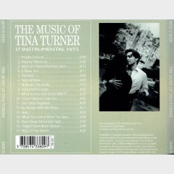 Music Of Tina Turner (1994) (17 Instrumenal Hits)