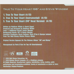 98 Degrees &amp; Stevie Wonder - True To Your Heart (1998)