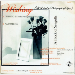 A Flock Of Seagulls - Wishing (If I Had A Photograph Of You) (1982)