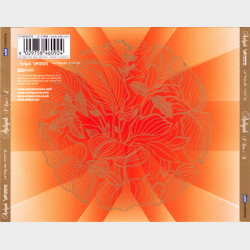 Aaliyah - I Care 4 U (2003)