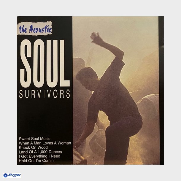 Acoustic, the - The Acoustic Soul Survivors (1996) (Andy Lloyd)