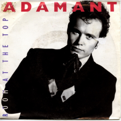 Adam &amp; The Ant - Room At The Top (1989)