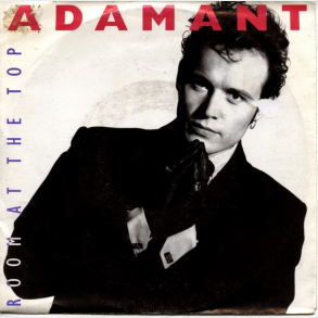 Adam & The Ant - Room At The Top (1989)
