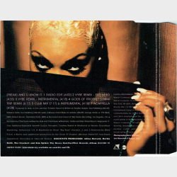 Adina Howard - (Freak) And U Know It (1997)