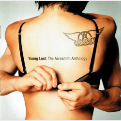 Aerosmith - Young Lust The Aerosmith Anthology (2001)