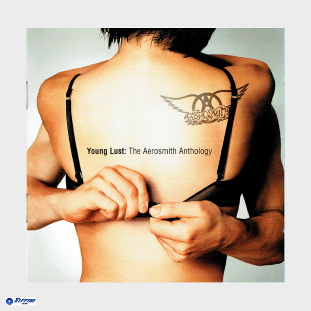 Aerosmith - Young Lust The Aerosmith Anthology (2001)