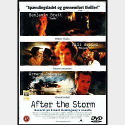 After The Storm (2001)