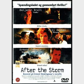 After The Storm (2001)