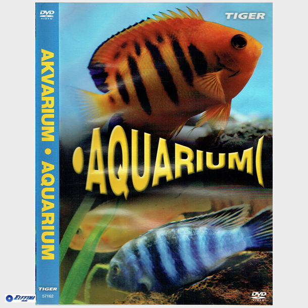 Akvarium Aquarium