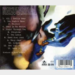 Alanis Morissette - Jagged Little Pill (1995)