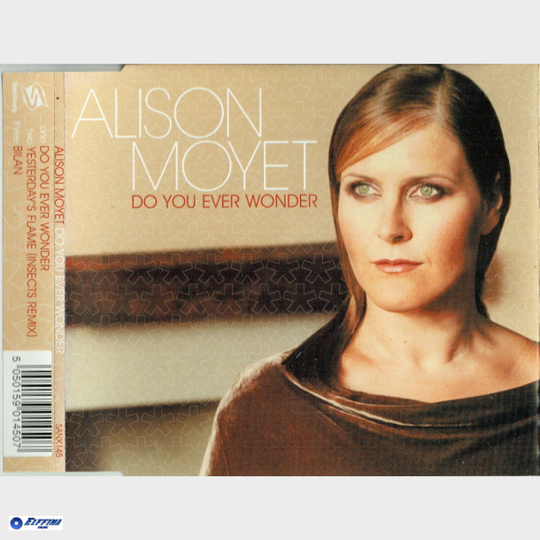 Alison Moyet - Do You Ever Wonder (2002)