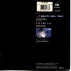 Alison Moyet - Weak In The Presence Of Beauty (1987)