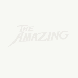 Amazing - The Amazing (2009) (Digi)