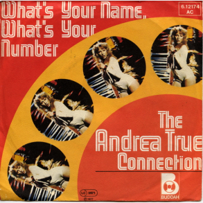 Andrea True Connection, The - What's Your Name, What's Your Number (1977)