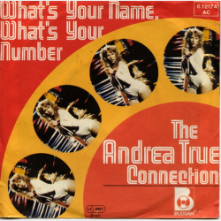 Andrea True Connection, The - What's Your Name, What's Your Number (1977)