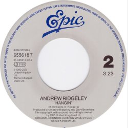 Andrew Ridgeley - Shake (1990)
