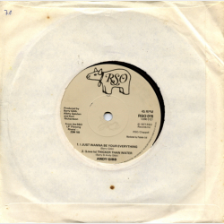 Andy Gibb - An Everlasting Love (1978)