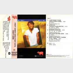 Andy Gibb - Andy Gibb's Greatest Hits