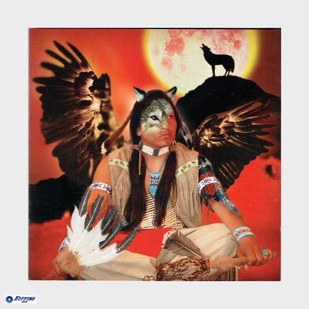 Apache (2004)