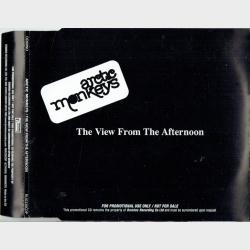 Arctic Monkeys - The View From The Afternoon (2006) (Promo)