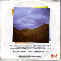 Avalanche - Bird Of Paradise (1988)