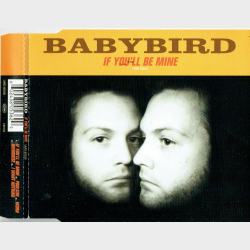 Babybird - If You'll Be Mine (1998)