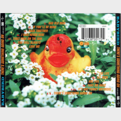 Babybird - There's Something Going On (1998)