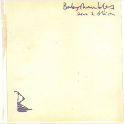 Babyshambles - Down In Albion (2005)