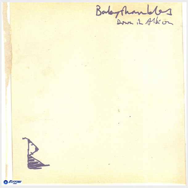 Babyshambles - Down In Albion (2005)