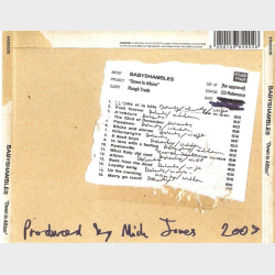 Babyshambles - Down In Albion (2005)