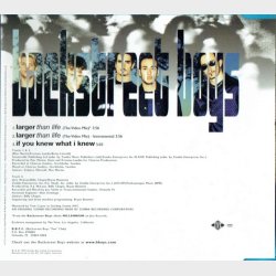 Backstreet Boys - Larger Than Life (1999)