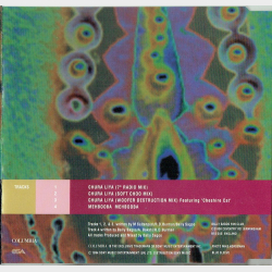 Bally Sagoo - Chura Liya (1994)