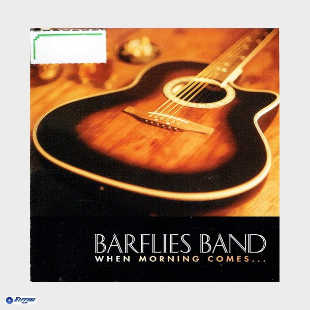 Barflies Band - When Morning Comes