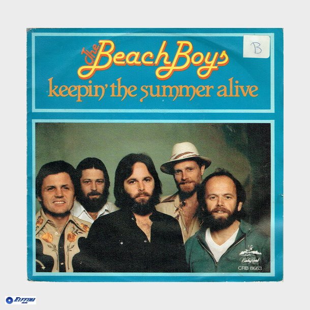 Beach Boys - Keepin' The Summer Alive (1980)