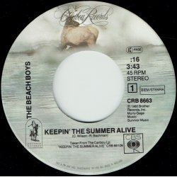 Beach Boys - Keepin' The Summer Alive (1980)