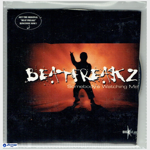 Beat Freakz - Somebody's Watching Me (2006)