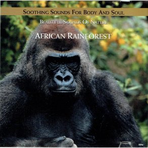 Beautiful Sonds Of Nature African Rainforest