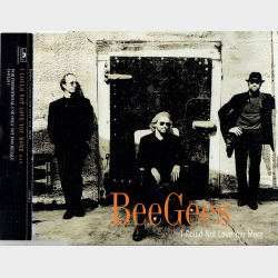 Bee Gees, The - I Could Not Love You More (1997)