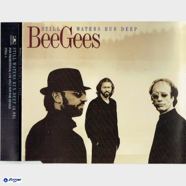 Bee Gees, The - Still Waters Run Deep (1997)