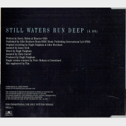 Bee Gees, The - Still Waters Run Deep (1997)