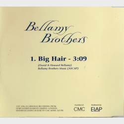Bellamy Brothers - Big Hair (1996)