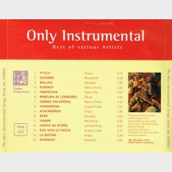 Best Instrumental Songs From The Andes