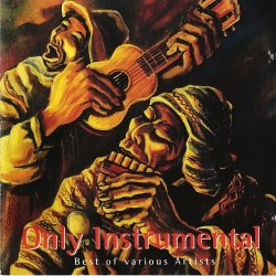 Best Instrumental Songs From The Andes