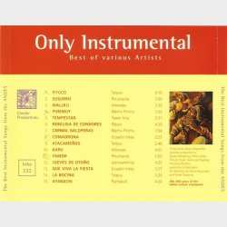 Best Instrumental Songs From The Andes