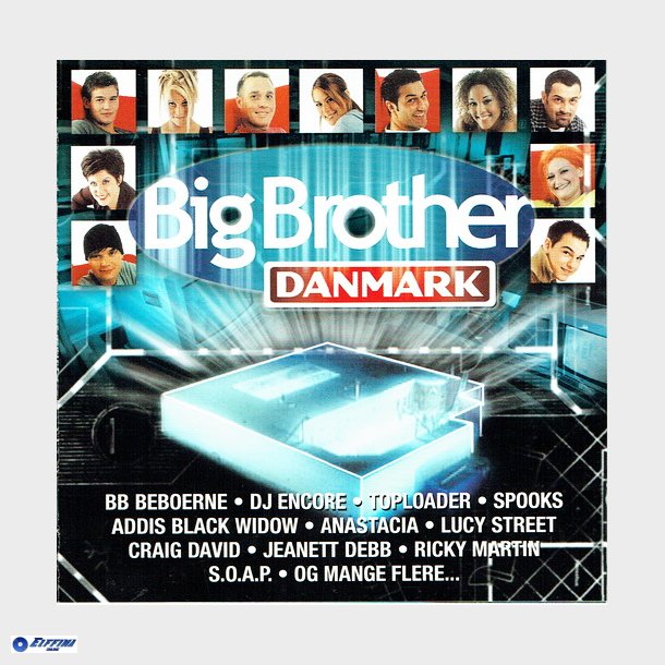 Big Brother (2001)