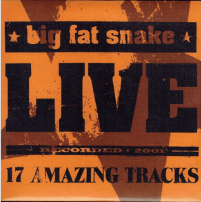 Big Fat Snake - 17 Amazing Tracks Live (CD10 Fra The Box) (2005)